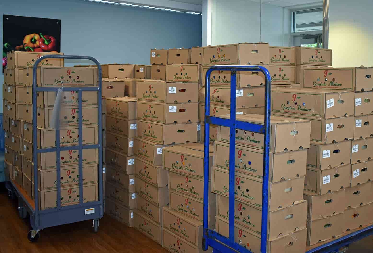 УПАКОВОЧНАЯ ТАРА ДЛЯ ПЛОДООВОЩНОЙ ПРОДУКЦИИ